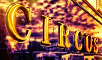 Nook Schoenfelds Stories (5): Der Elefanten-Cue