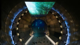 “Planet Ozean” im Gasometer – ein Blick hinter die Kulissen