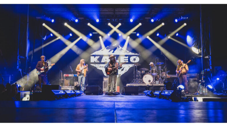 Chauvet Professional