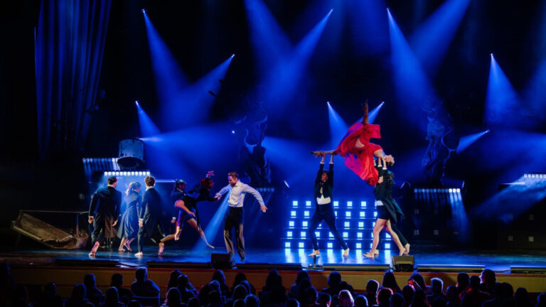CHAUVET Professional